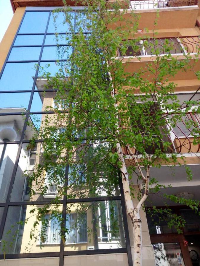 Venis House Ξενοδοχείο Φιλιππούπολη Εξωτερικό φωτογραφία